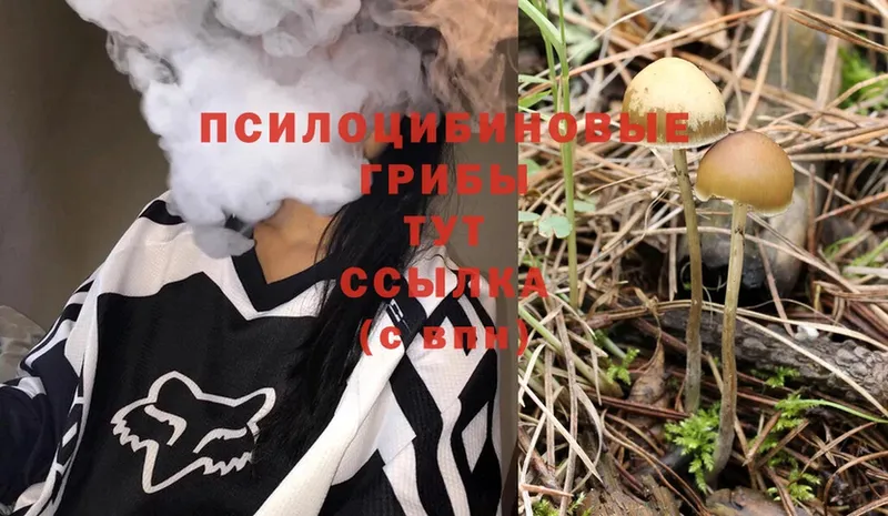 Псилоцибиновые грибы Magic Shrooms  Емва 